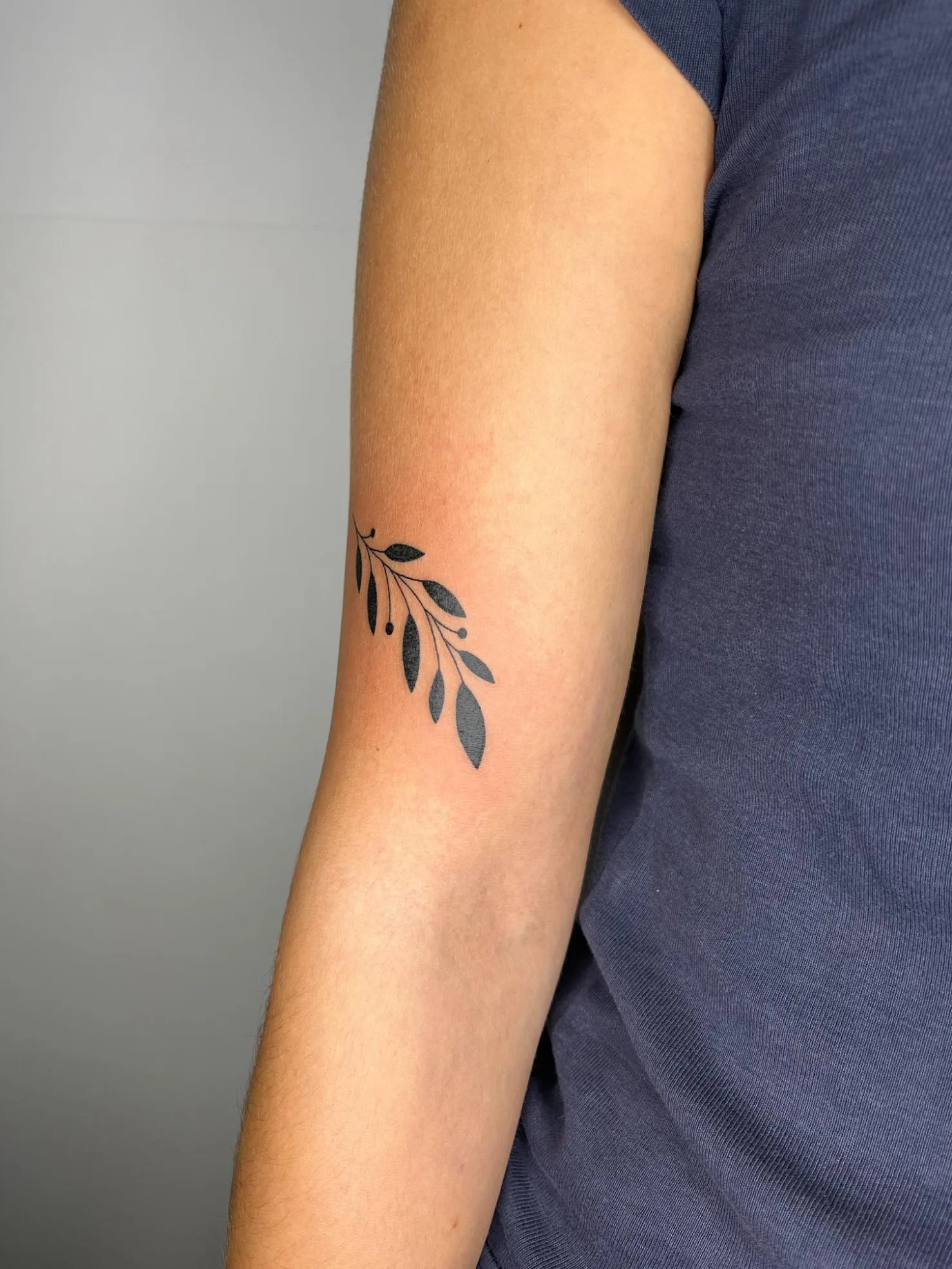 Tatuaje en el brazo de una rama curvada con hojas negras, delicado y natural.