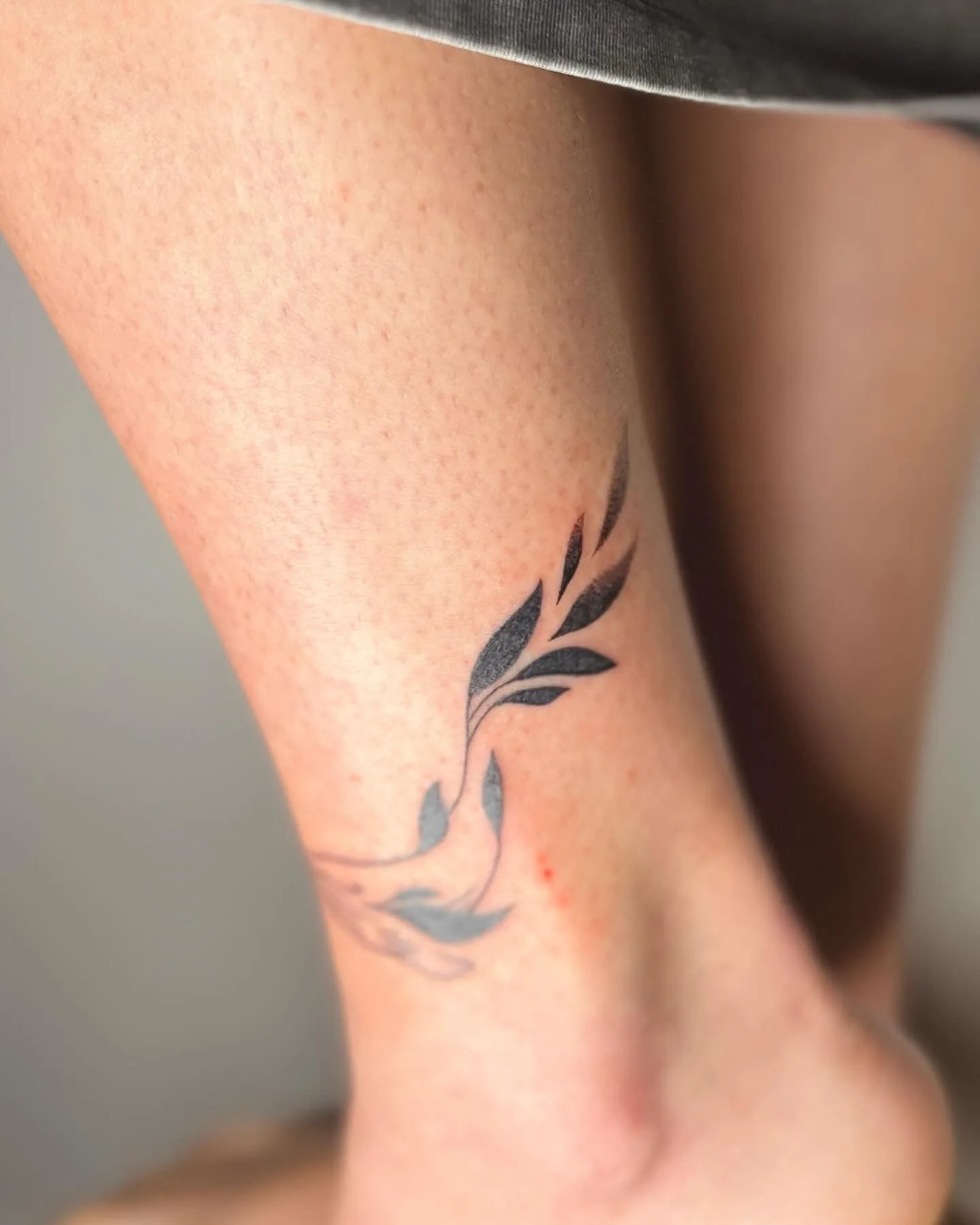 Tatuaje de una rama de hojas en estilo dotwork, diseño sencillo y minimalista en el tobillo.