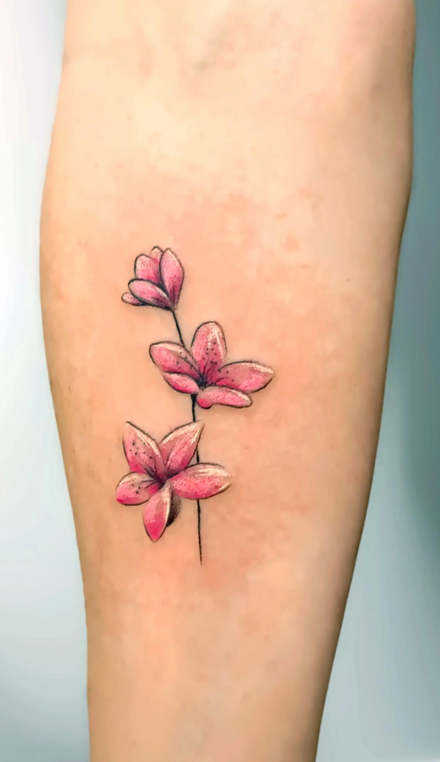 Tatuaje colorido de estilo minimalista en el brazo, representando flores rosadas en una rama.