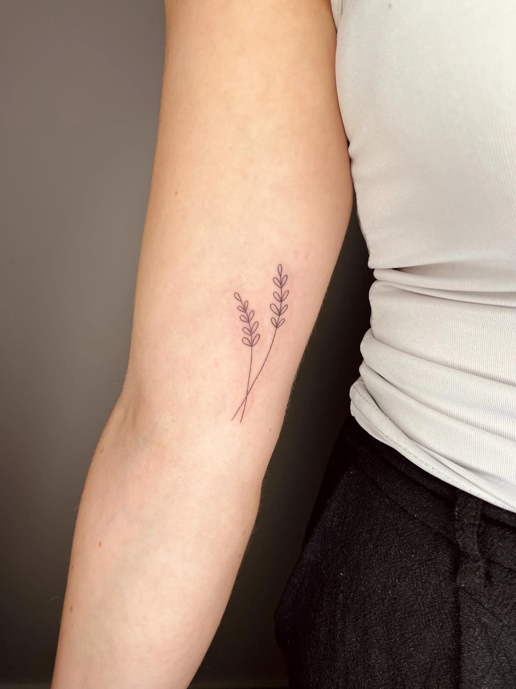 Tatuaje de estilo minimalista en el antebrazo, con dos ramitas de hojas en tinta negra.